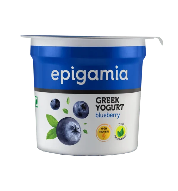 epigamia  - greek yogurt blueberry